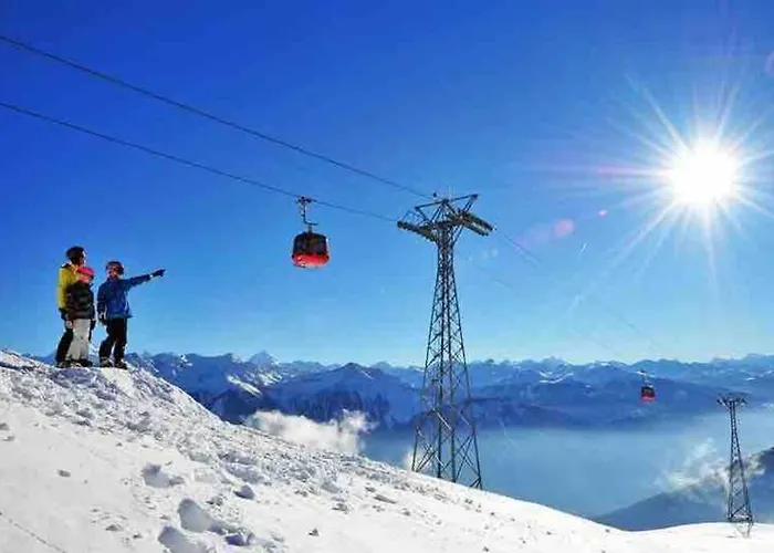 Valere Ii - De 3,5 Pieces De Standing * ロイカーバード