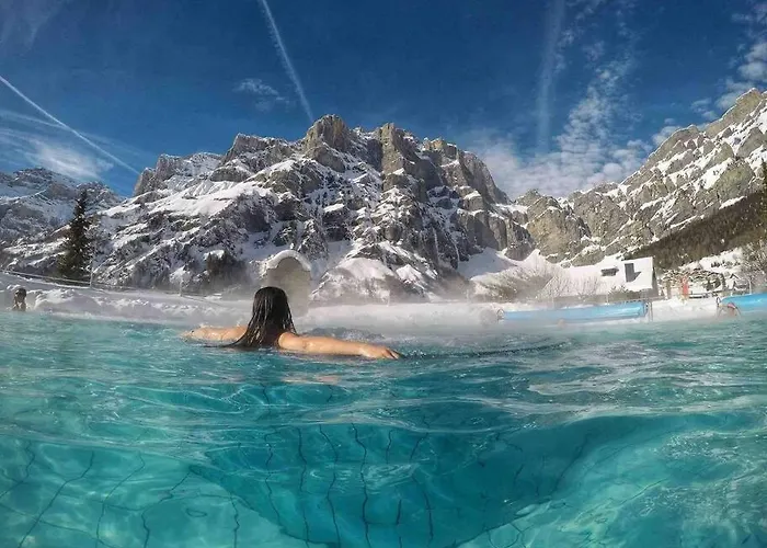 Valere Ii - De 3,5 Pieces De Standing アパート ロイカーバード